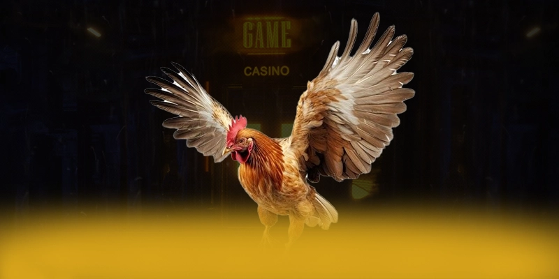 KUWIN - Nhà cái được cộng đồng săn đón được quan tâm nhất – Tìm hiểu khuyến mãi độc quyền của KUWIN