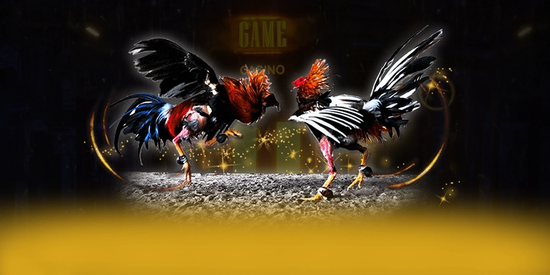 DAGA88 - Cổng cá cược cam kết bảo vệ người chơi tuyệt đối được giới chuyên môn đánh giá cao – Tìm hiểu về độ tin cậy và bảo mật tại DAGA88