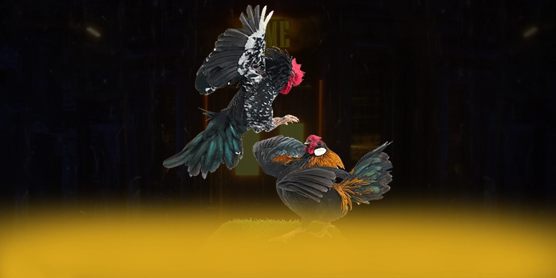 tài xỉu online - Trang game chuyên nghiệp trong giới game thủ tài xỉu online - Trang game chuyên nghiệp trong giới game thủ