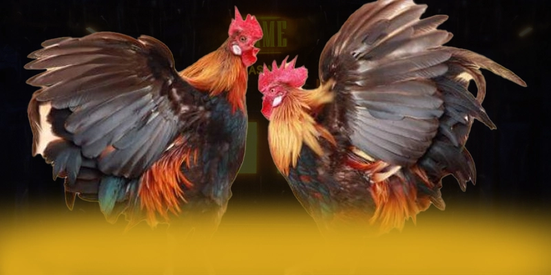 DAGA88 - Cổng game với nhiều tựa game đổi thưởng hấp dẫn đang làm mưa làm gió trên thị trường – Khám phá DAGA88