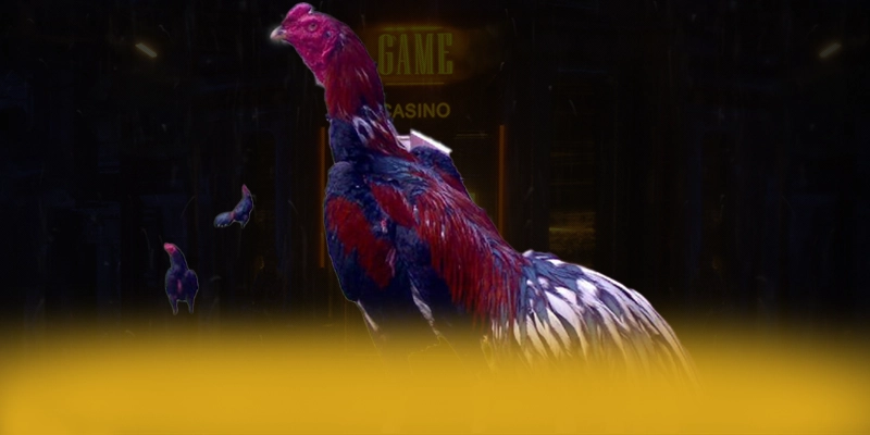 Vinbet - Sảnh game được cấp phép được người chơi tin dùng – Cùng tìm hiểu Vinbet