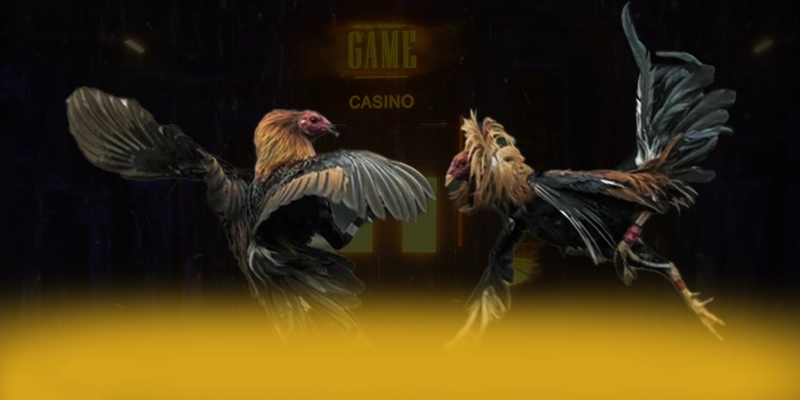 DAGA88 - Trang game minh bạch được đánh giá cao – Tìm hiểu thêm về DAGA88 DAGA88 - Trang game minh bạch được đánh giá cao – Tìm hiểu thêm về DAGA88