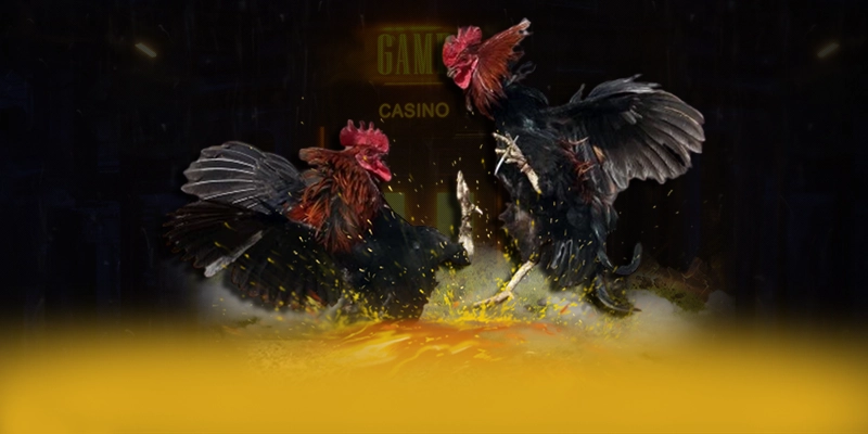 CONGA6789 - Thương hiệu game uy tín cam kết bảo vệ người chơi tuyệt đối được người chơi tin dùng – Khám phá CONGA6789