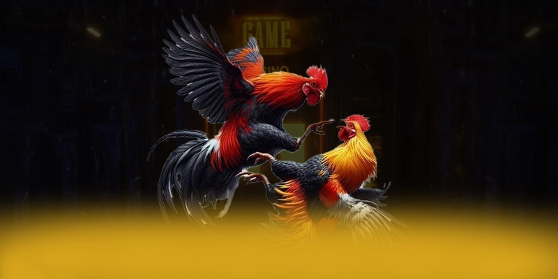 
Điểm nổi bật tại tỷ lệ kèo bóng đá - Cổng game an toàn tuyệt đối được cộng đồng đánh giá cao
