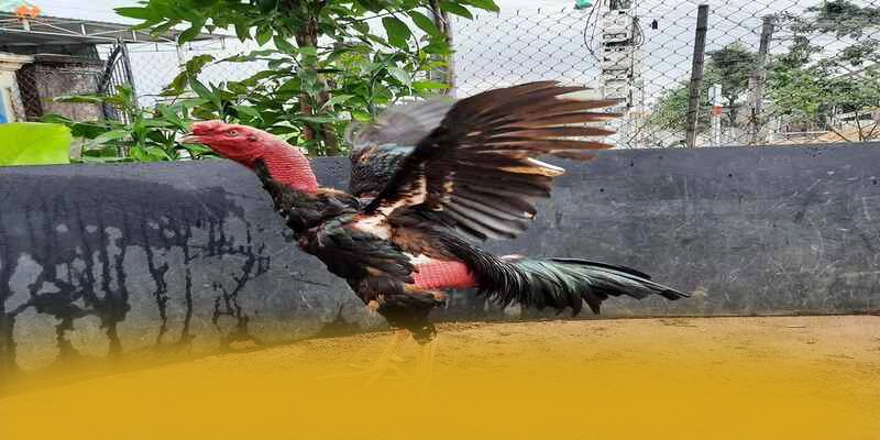 conga6789 – Cổng giải trí có thưởng lớn, được cộng đồng game thủ tin tưởng. conga6789 – Cổng giải trí có thưởng lớn, được cộng đồng game thủ tin tưởng.