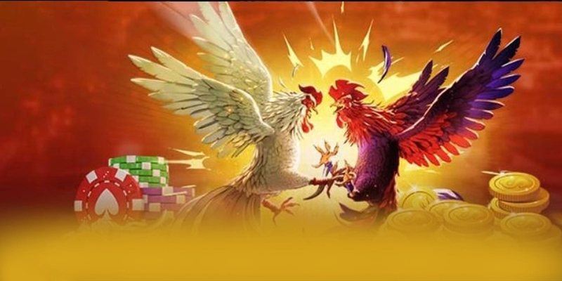 DAGA88 - Sảnh game hấp dẫn tại Việt Nam – Khám phá DAGA88