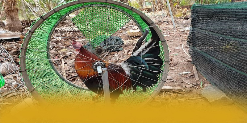 GEM88 - Nhận định cuối cùng một cách tổng quan.