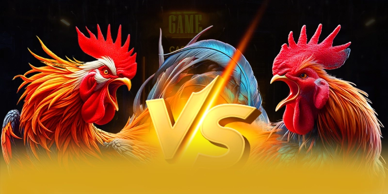 UU88 - Cổng game bài cam kết bảo vệ người chơi tuyệt đối được đánh giá cao – Khám phá hệ thống bảo mật tại UU88