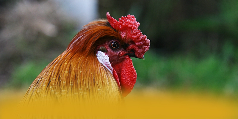 KKWIN – Sảnh game có thưởng lớn, được người chơi yêu thích.