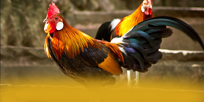 KKWIN - Trang game an toàn được cộng đồng game thủ công nhận – Tìm hiểu về độ tin cậy và bảo mật tại KKWIN