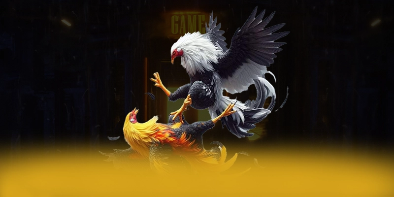 BL555 - Trang game phổ biến hàng đầu trong giới game thủ BL555 - Trang game phổ biến hàng đầu trong giới game thủ